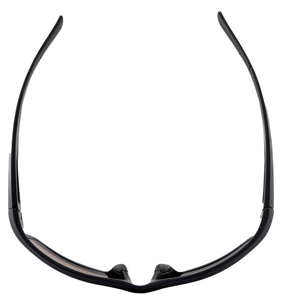 Sunglasses Alpina DEFEY