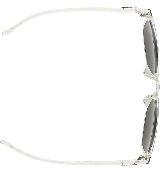 Sunglasses Alpina YEFE