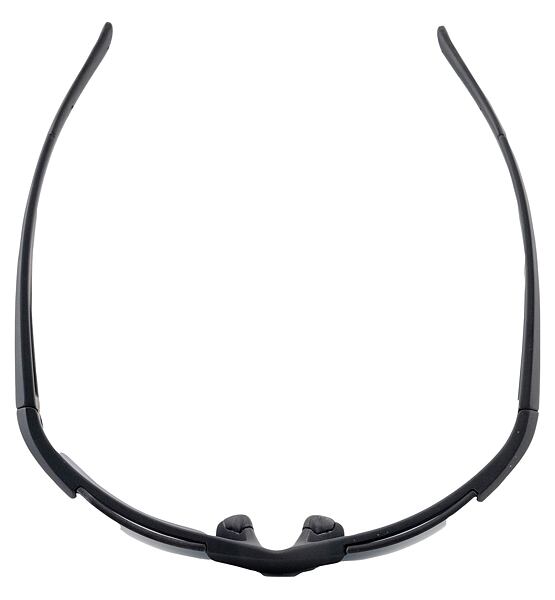 Sunglasses Alpina DEFEY HR