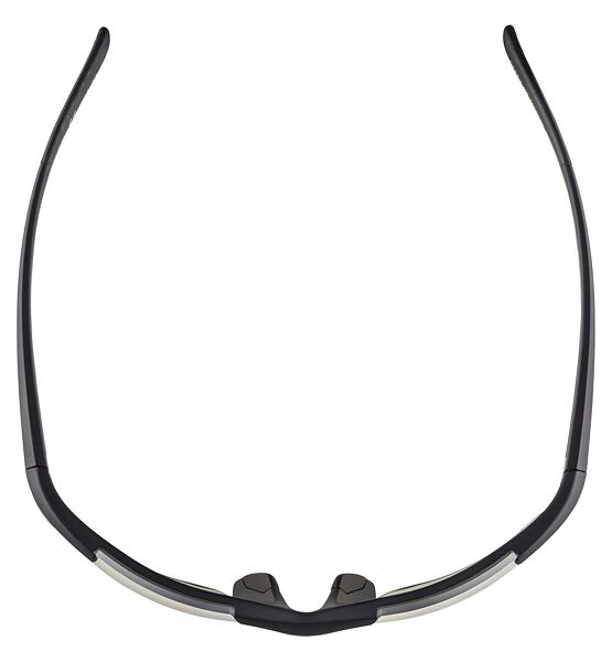 Sunglasses Alpina DEFEY HR