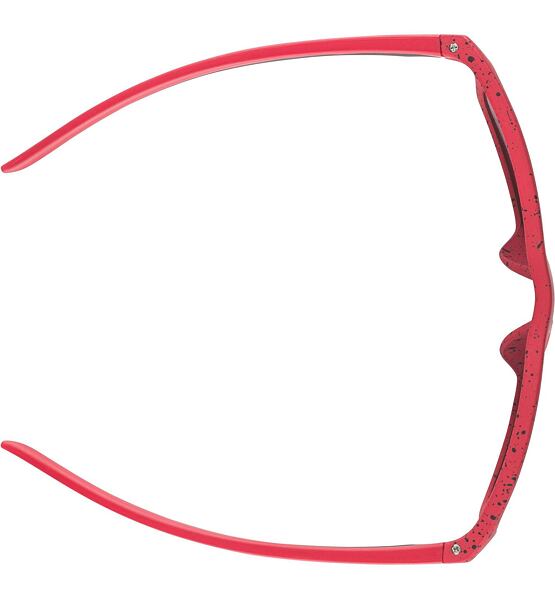 Sunglasses Alpina FLEXXY COOL KIDS I