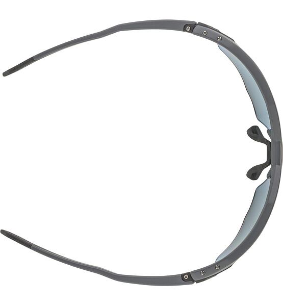 Sunglasses Alpina TWIST SIX HR QV