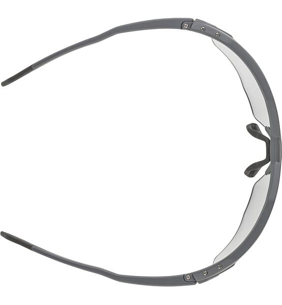 Sunglasses Alpina TWIST SIX HR V