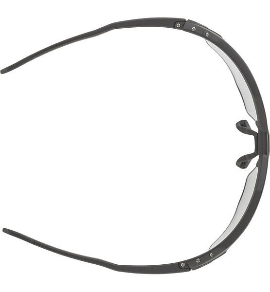 Sunglasses Alpina TWIST SIX HR V