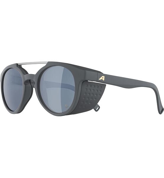 Sunglasses Alpina GLACE POL