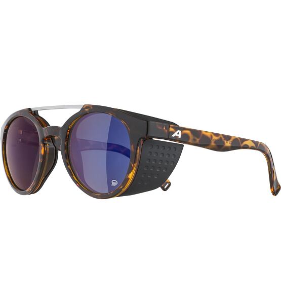 Sunglasses Alpina GLACE POL