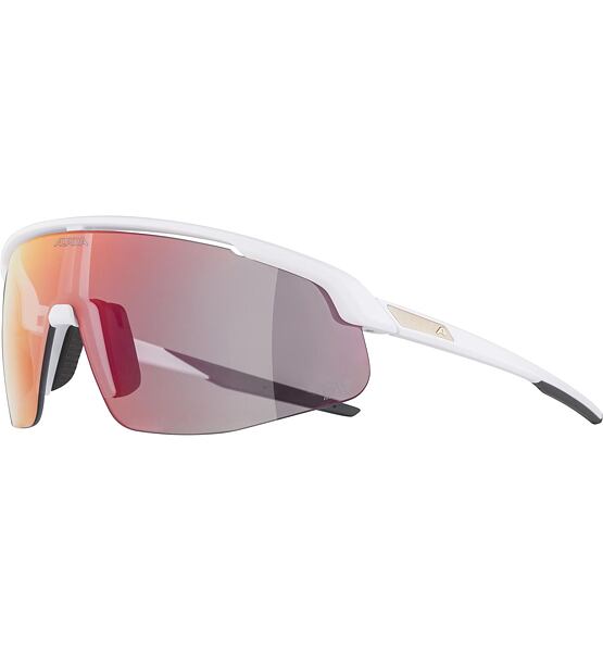 Sunglasses Alpina TURBO PRO QV