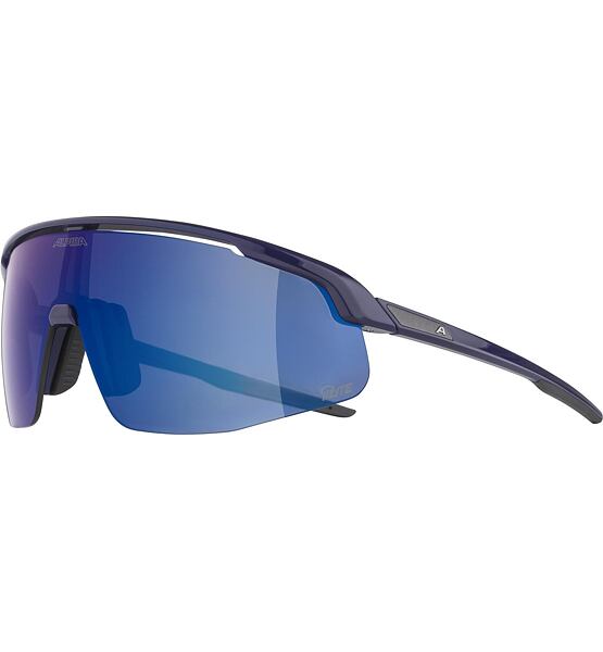 Sunglasses Alpina Turbo Pro Q-Lite