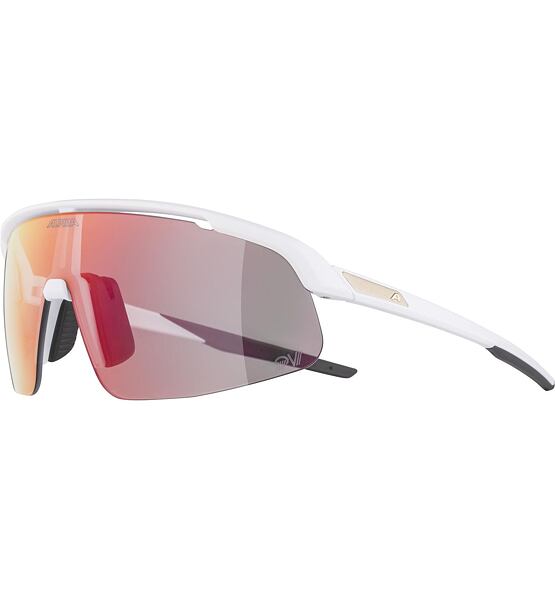 Sunglasses Alpina TURBO PRO S QV