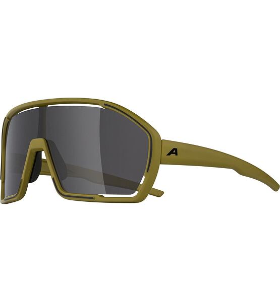 Sunglasses Alpina BONFIRE