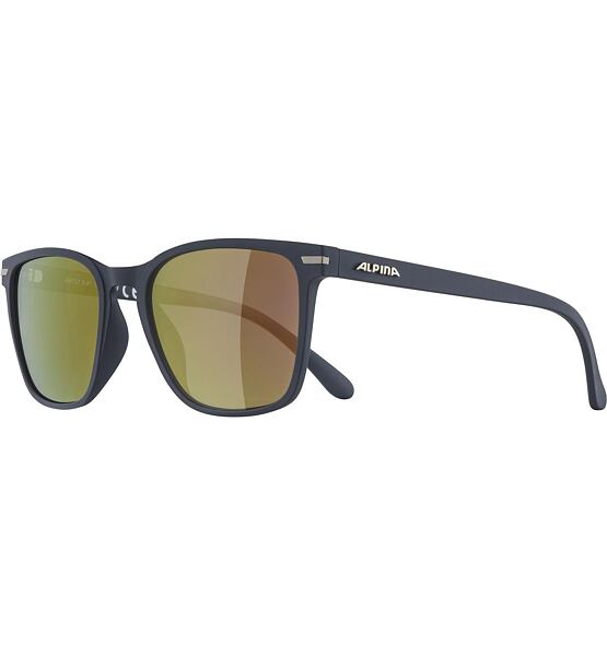 Sunglasses Alpina YEFE POL