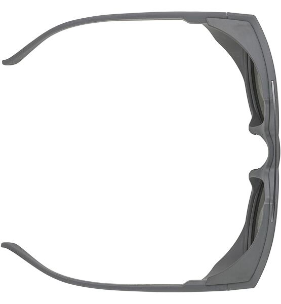 Sunglasses Alpina GLACE POL