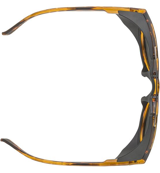 Sunglasses Alpina GLACE POL