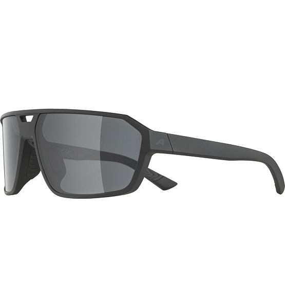 Sunglasses Alpina Swift