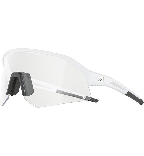 Sunglasses Alpina SONIC HR V