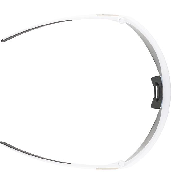 Sunglasses Alpina TURBO PRO QV