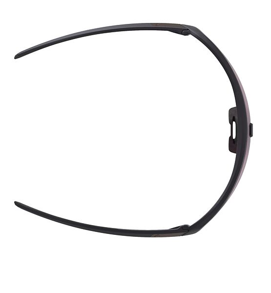 Sunglasses Alpina Turbo Pro Q-Lite