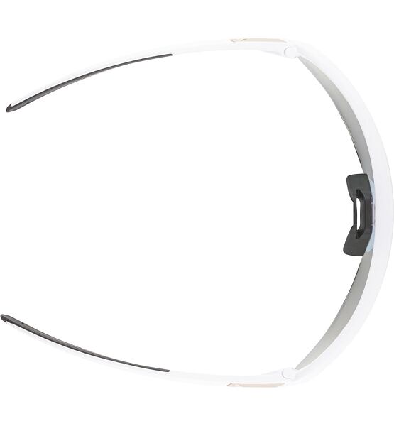Sunglasses Alpina TURBO PRO S QV