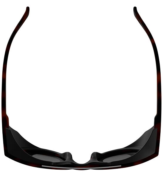 Sunglasses Alpina GLACE