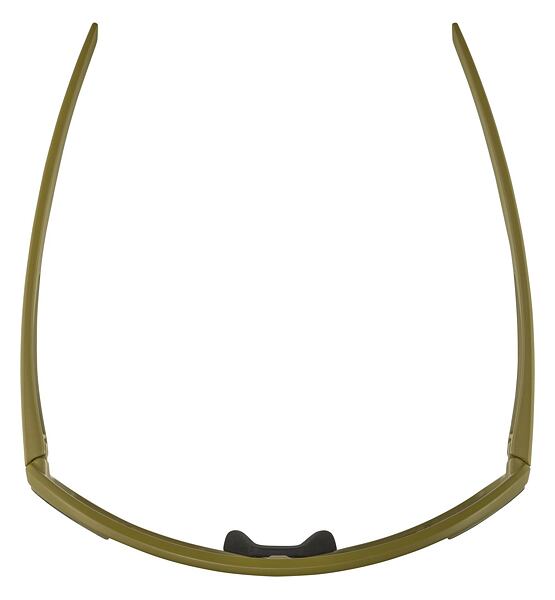 Sunglasses Alpina BONFIRE