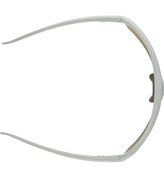 Sunglasses Alpina TURBO HR
