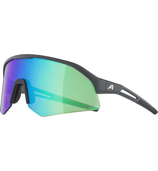 Sunglasses Alpina Sonic HR Q-Lite