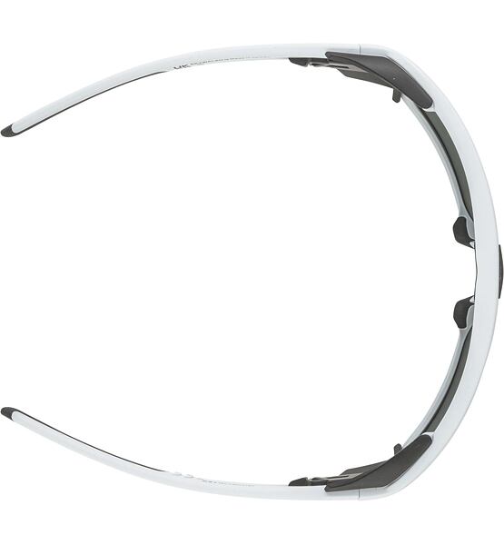 Sunglasses Alpina SKYWALSH Q