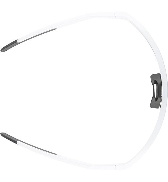 Sunglasses Alpina SONIC HR V