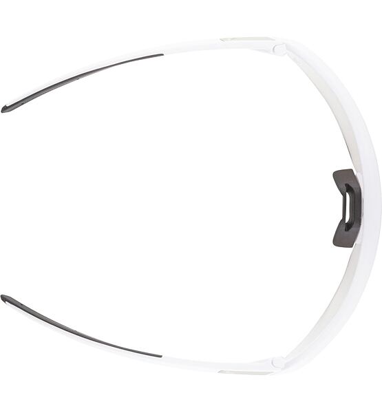 Sunglasses Alpina TURBO PRO S V