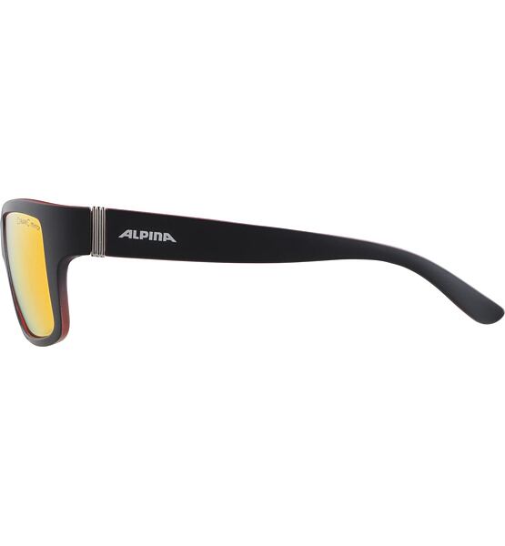 Sunglasses Alpina Kacey