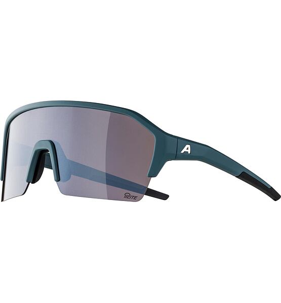 Sunglasses Alpina Ram HR Q-Lite