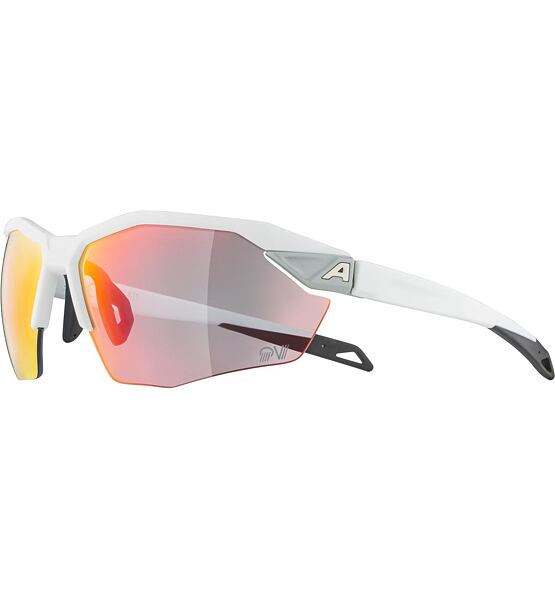 Sunglasses Alpina TWIST SIX S HR QV