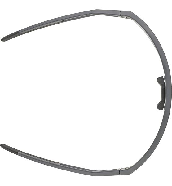 Sunglasses Alpina SONIC HR QV