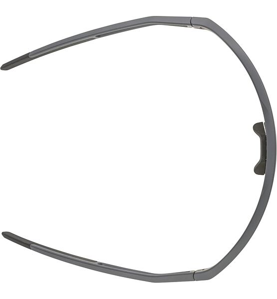 Sunglasses Alpina Sonic HR Q-Lite