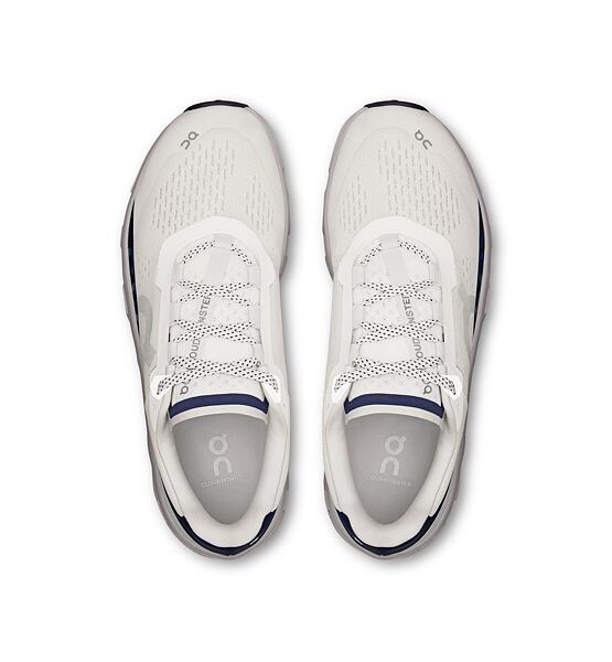 Mens Road Running Shoes On Cloudmonster
