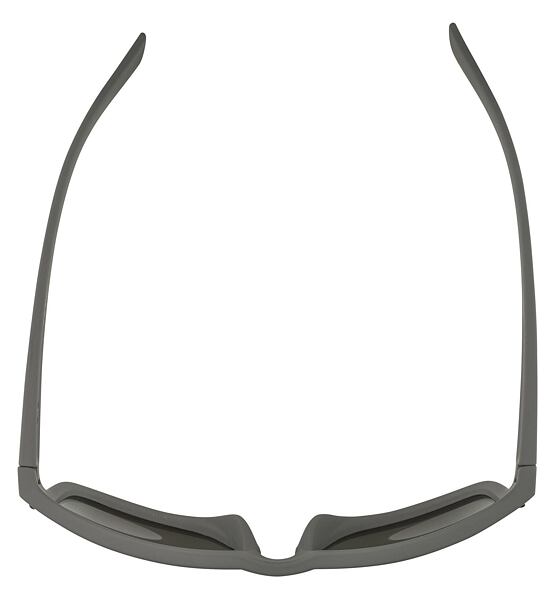 Sunglasses Alpina KOSMIC