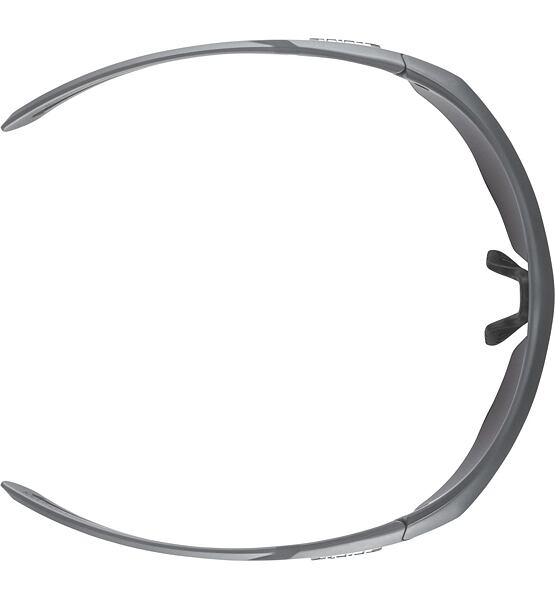 Sunglasses Alpina NYLOS HR