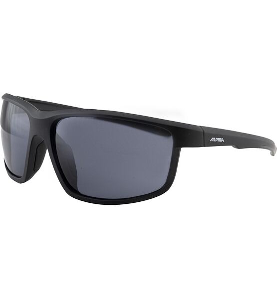 Sunglasses Alpina DEFEY