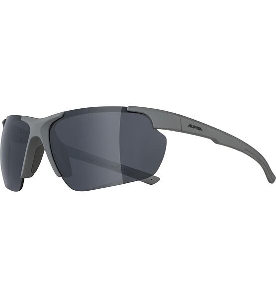 Sunglasses Alpina DEFEY HR
