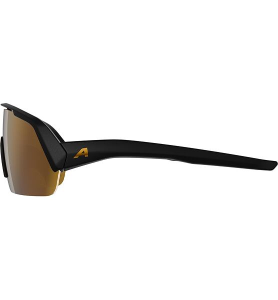 Sunglasses Alpina TURBO HR