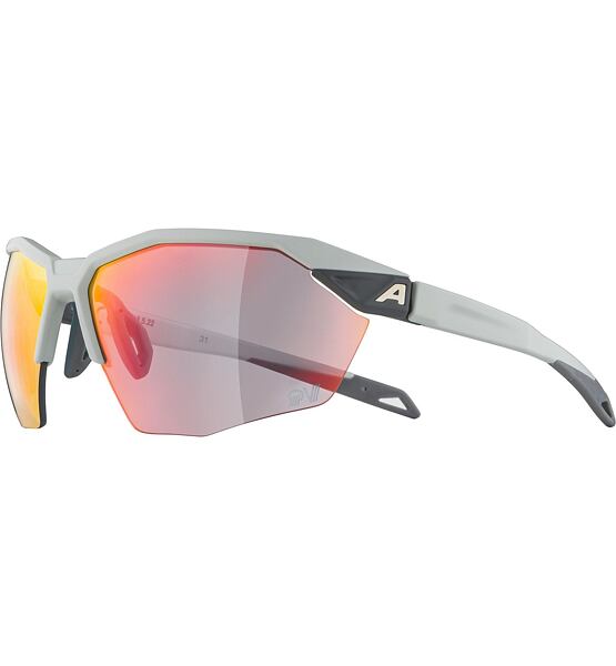 Sunglasses Alpina TWIST SIX HR QV