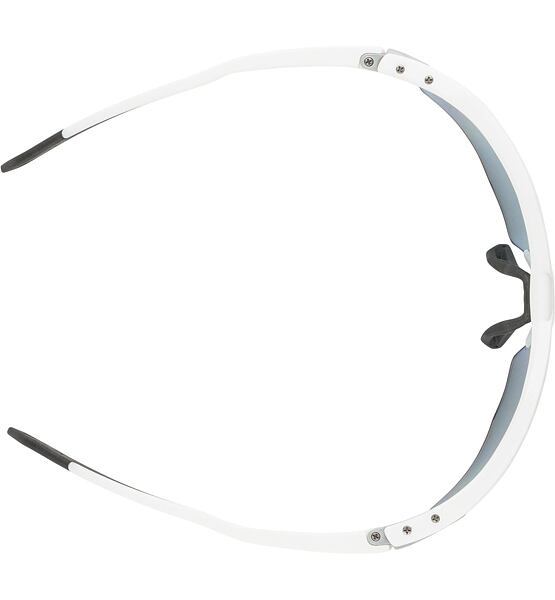 Sunglasses Alpina TWIST SIX S HR QV