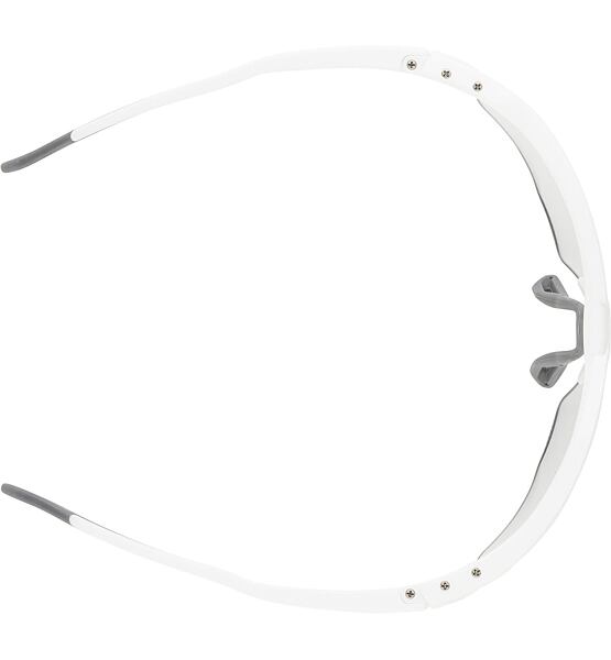 Sunglasses Alpina TWIST SIX S HR V