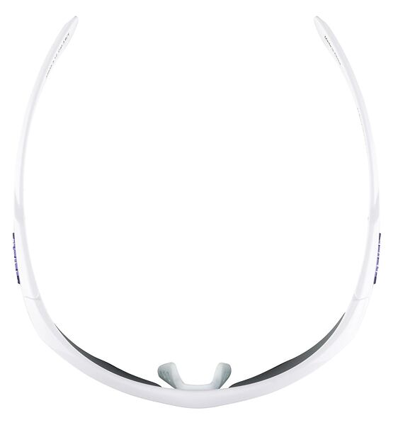 Sunglasses Alpina NYLOS HR