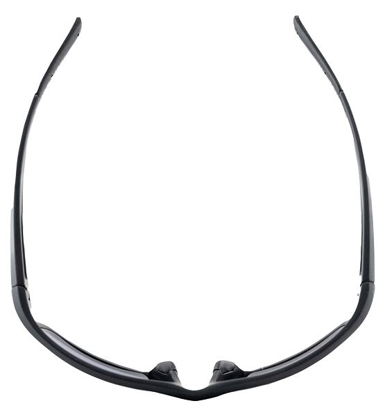 Sunglasses Alpina DEFEY