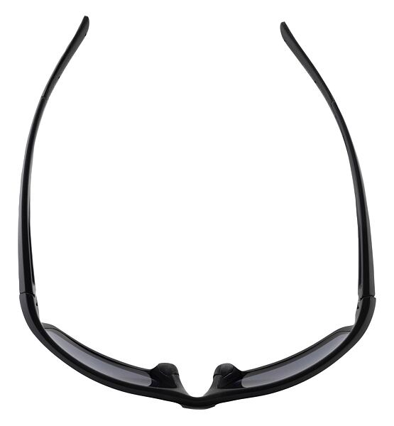 Sunglasses Alpina DEFEY