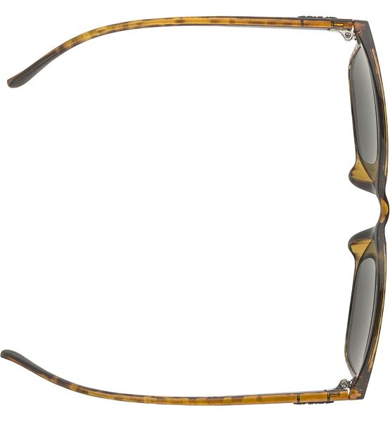 Sunglasses Alpina YEFE