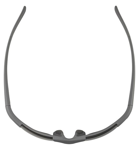Sunglasses Alpina DEFEY HR