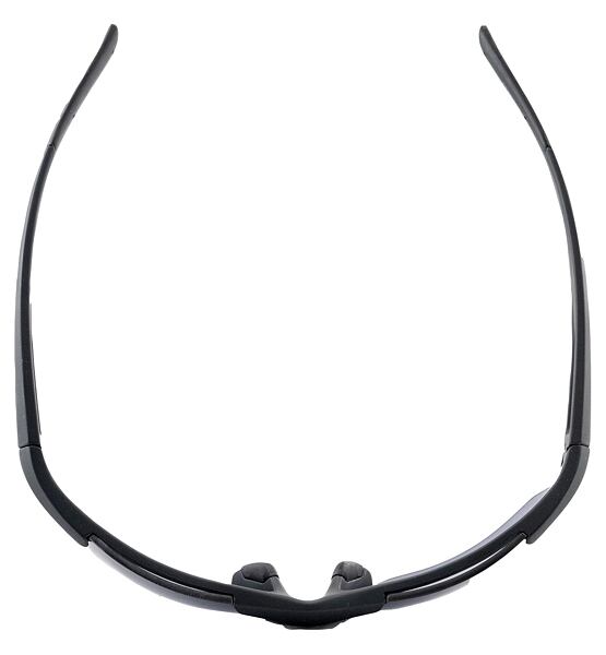 Sunglasses Alpina DEFEY HR
