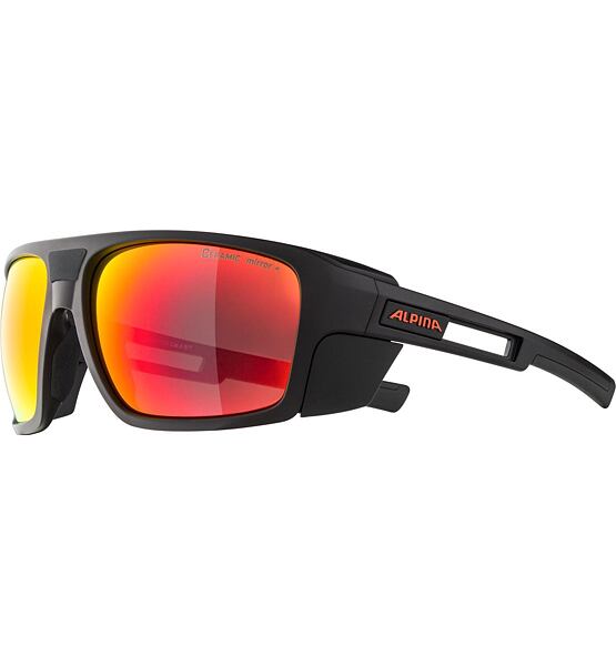 Sunglasses Alpina SKYWALSH